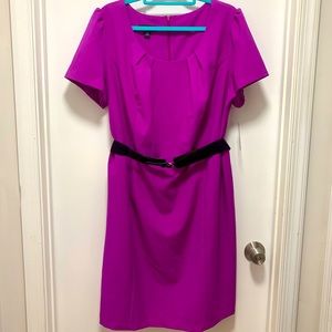 NWT- AGB Fuchsia Belted Dress, 22W